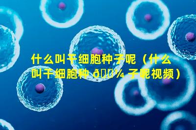 什么叫干细胞种子呢（什么叫干细胞种 🐼 子呢视频）